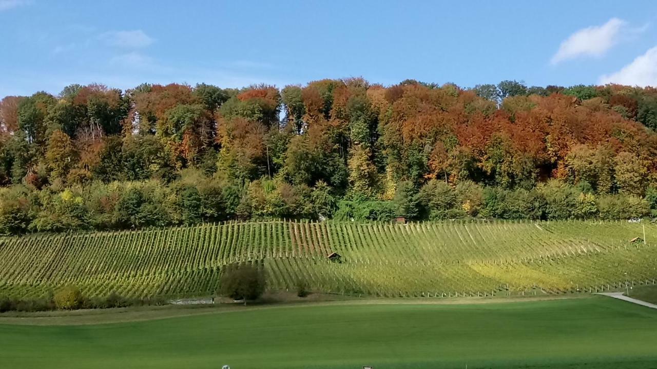 Ferienzimmer Zülli Erlach Exterior foto